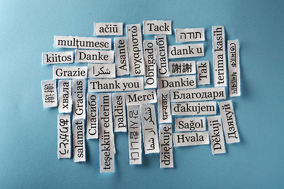Lasst die kurdische Sprache an Schulen aufbl&uuml;hen!